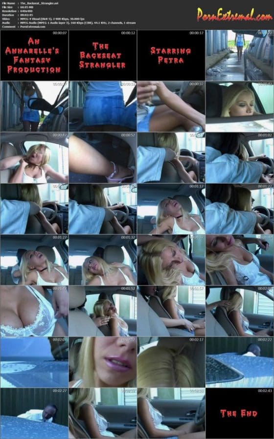 The_Backseat_Strangler