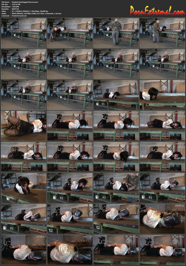 Hogtied And Bagged Horror