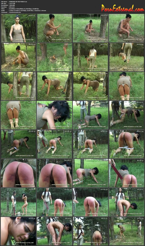 PUNISHED IN THE FOREST screen