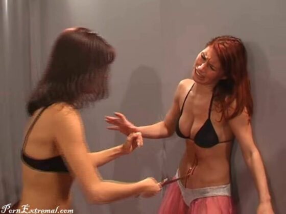 SusyFight - Gabriela And The Bellydancers SusyFight - Gabriela And The Bellydancers